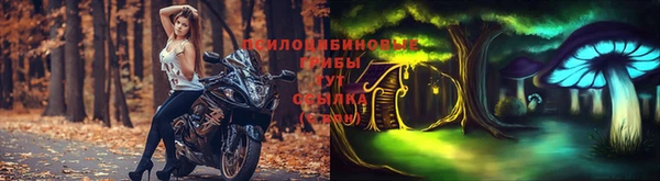 Альфа ПВП Заводоуковск