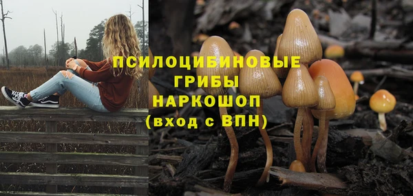 apvp Заволжск